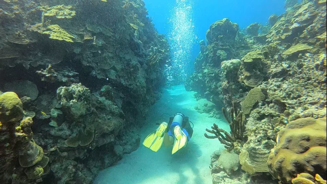 Diving With… Maartje Sterk Scubacaribe Jamaica Montego Bay Caribbean Dive Adventures