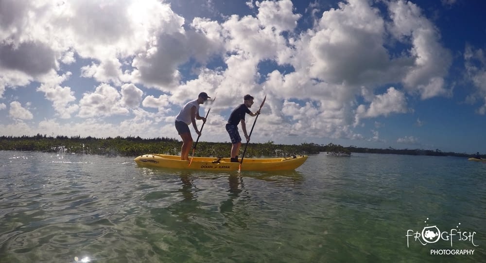 Grand Bahama Funfilled activities for all the family Caribbean Dive Adventures